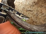 260409-11.jpg