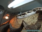 260409-20.jpg