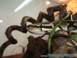260409-21.jpg