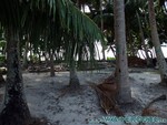 malediven2009-254.jpg