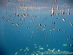 malediven2009-265.jpg