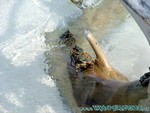 malediven2009-289.jpg
