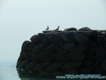 malediven2009-370.jpg