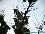 malediven2009-409.jpg