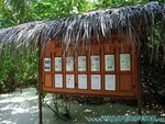 malediven2009-441.jpg