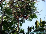 malediven2009-531.jpg