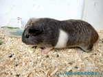 malediven2009-535.jpg