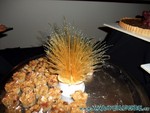malediven2009-561.jpg