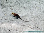 malediven2009-635.jpg