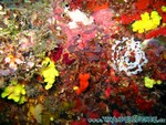 malediven2009-652.jpg