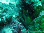 malediven2009-658.jpg