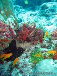 malediven2009-659.jpg