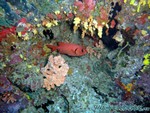 malediven2009-674.jpg