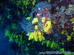 malediven2009-678.jpg