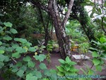 malediven2009-726.jpg