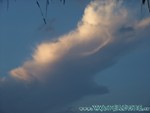 malediven2009-739.jpg