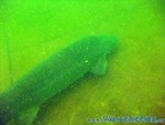 Naturagart-018.jpg