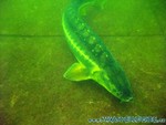 Naturagart-020.jpg