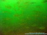 Naturagart-024.jpg