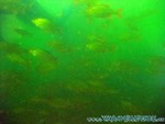 Naturagart-026.jpg