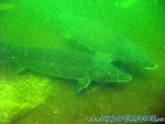 Naturagart-029.jpg