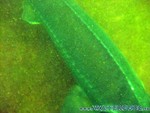 Naturagart-030.jpg