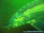Naturagart-031.jpg