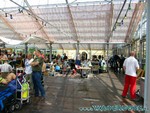 Naturagart-036.jpg