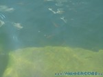 Naturagart-039.jpg