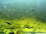 Naturagart-042.jpg