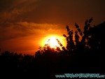Naturagart-051.jpg