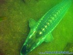 Naturagart-059.jpg