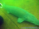 Naturagart-068.jpg