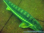 Naturagart-070.jpg