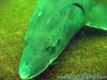 Naturagart-093.jpg