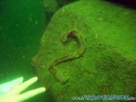 Naturagart-099.jpg