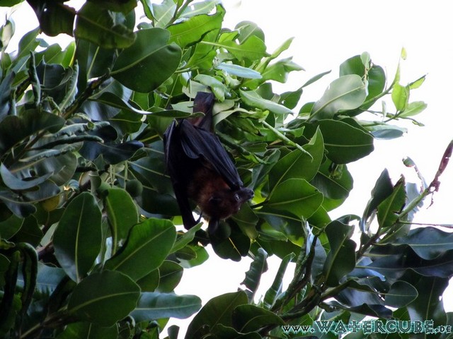 male2010-021.jpg