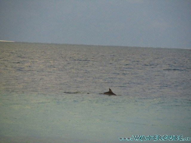 male2010-024.jpg