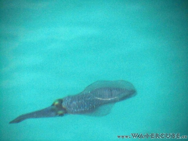 male2010-027.jpg