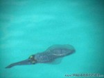 male2010-027.jpg