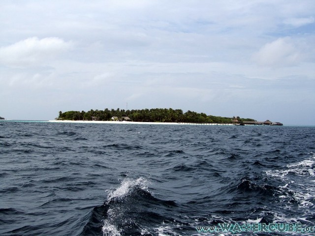 male2010-031.jpg