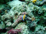 male2010-034.jpg