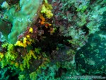 male2010-035.jpg