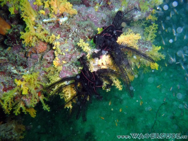 male2010-036.jpg