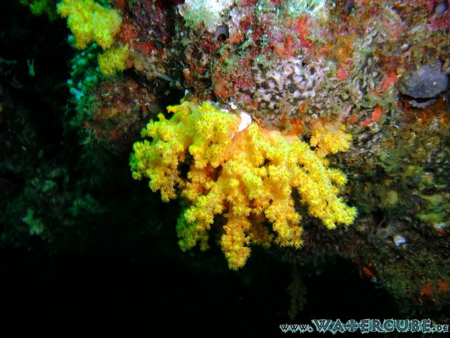 male2010-037.jpg
