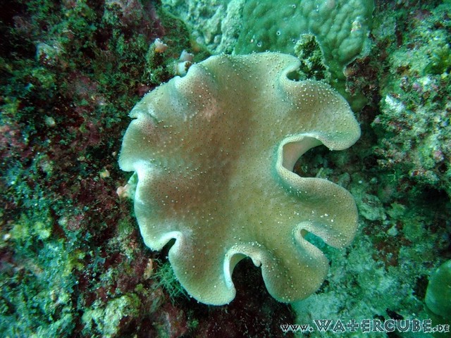 male2010-039.jpg