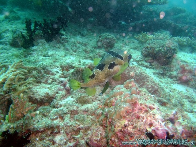 male2010-045.jpg