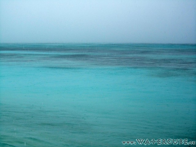 male2010-058.jpg