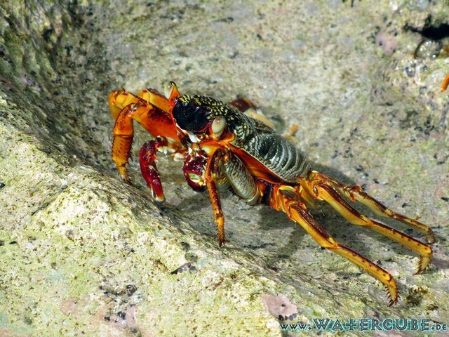 male2010-059.jpg