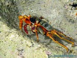 male2010-059.jpg